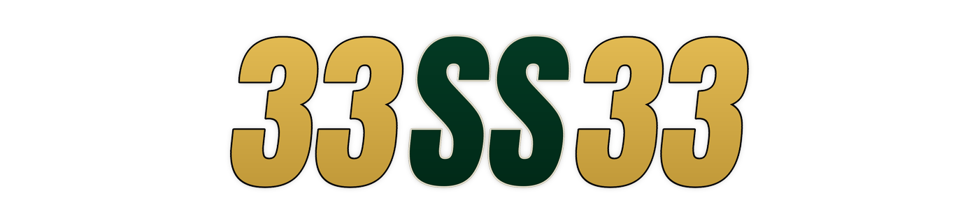 33ss33